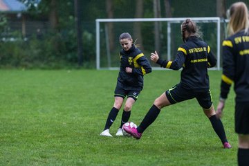 Bild 17 - Frauen SV Neuenbrook-Rethwisch - SV Frisia 03 Risum Lindholm